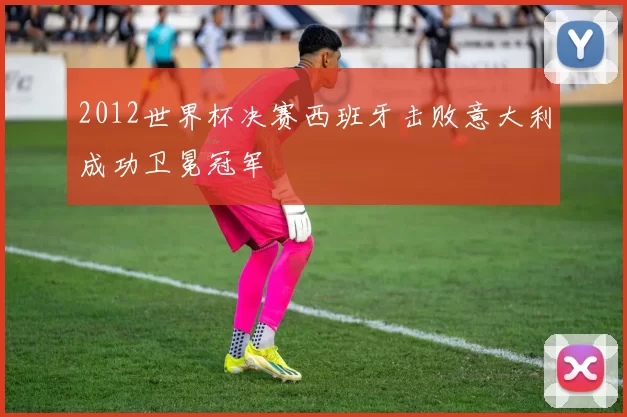 2012世界杯决赛西班牙击败意大利成功卫冕冠军