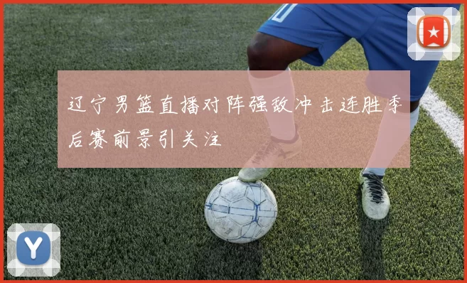 辽宁男篮直播对阵强敌冲击连胜季后赛前景引关注