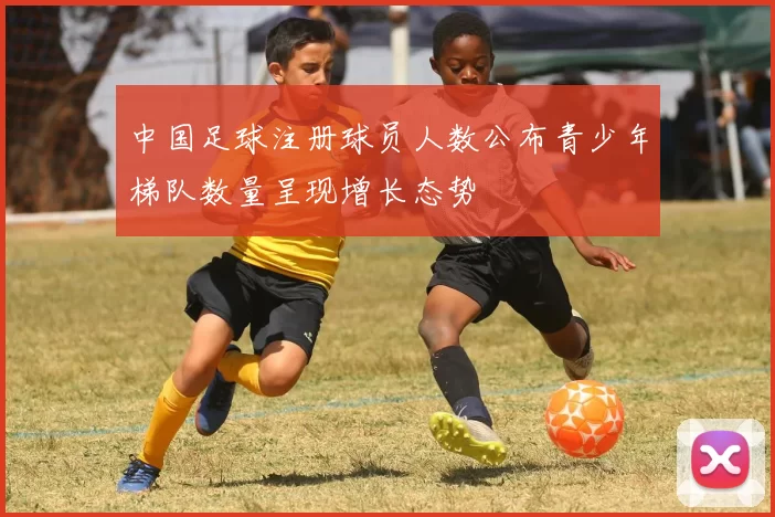 中国足球注册球员人数公布青少年梯队数量呈现增长态势