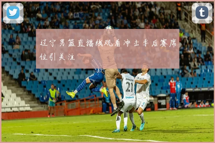 辽宁男篮直播线观看冲击季后赛席位引关注