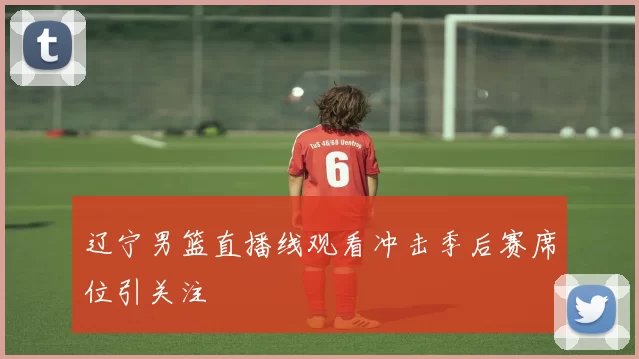 辽宁男篮直播线观看冲击季后赛席位引关注