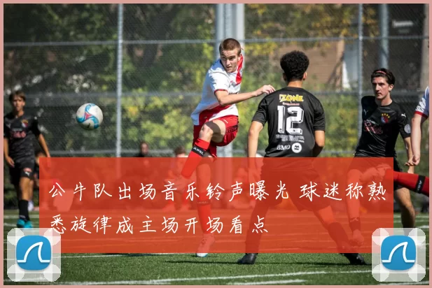 公牛队出场音乐铃声曝光 球迷称熟悉旋律成主场开场看点