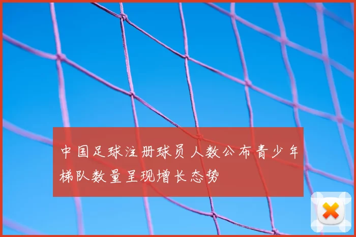 中国足球注册球员人数公布青少年梯队数量呈现增长态势