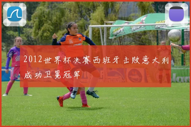 2012世界杯决赛西班牙击败意大利成功卫冕冠军